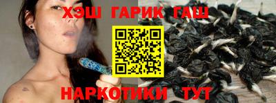 стаф Шелехов