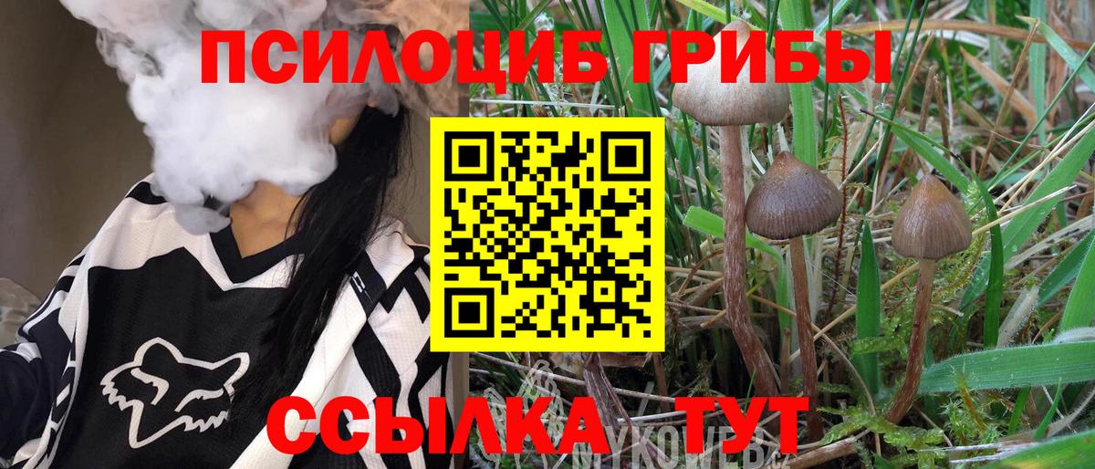 Галлюциногенные грибы Psilocybine cubensis Альметьевск